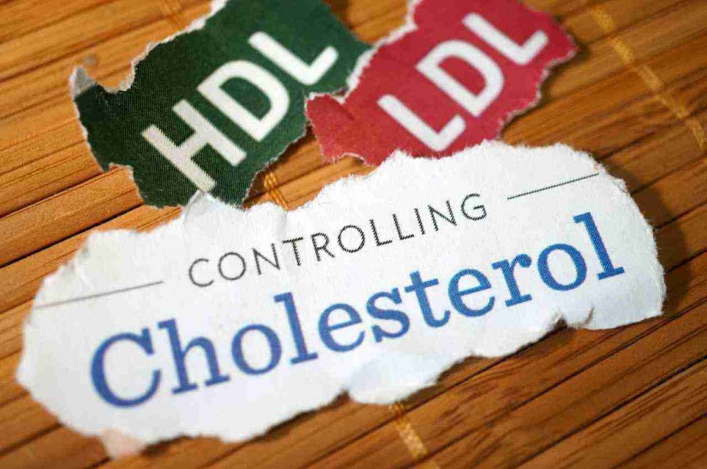 differenza tra colesterolo ldl e colesterolo hdl