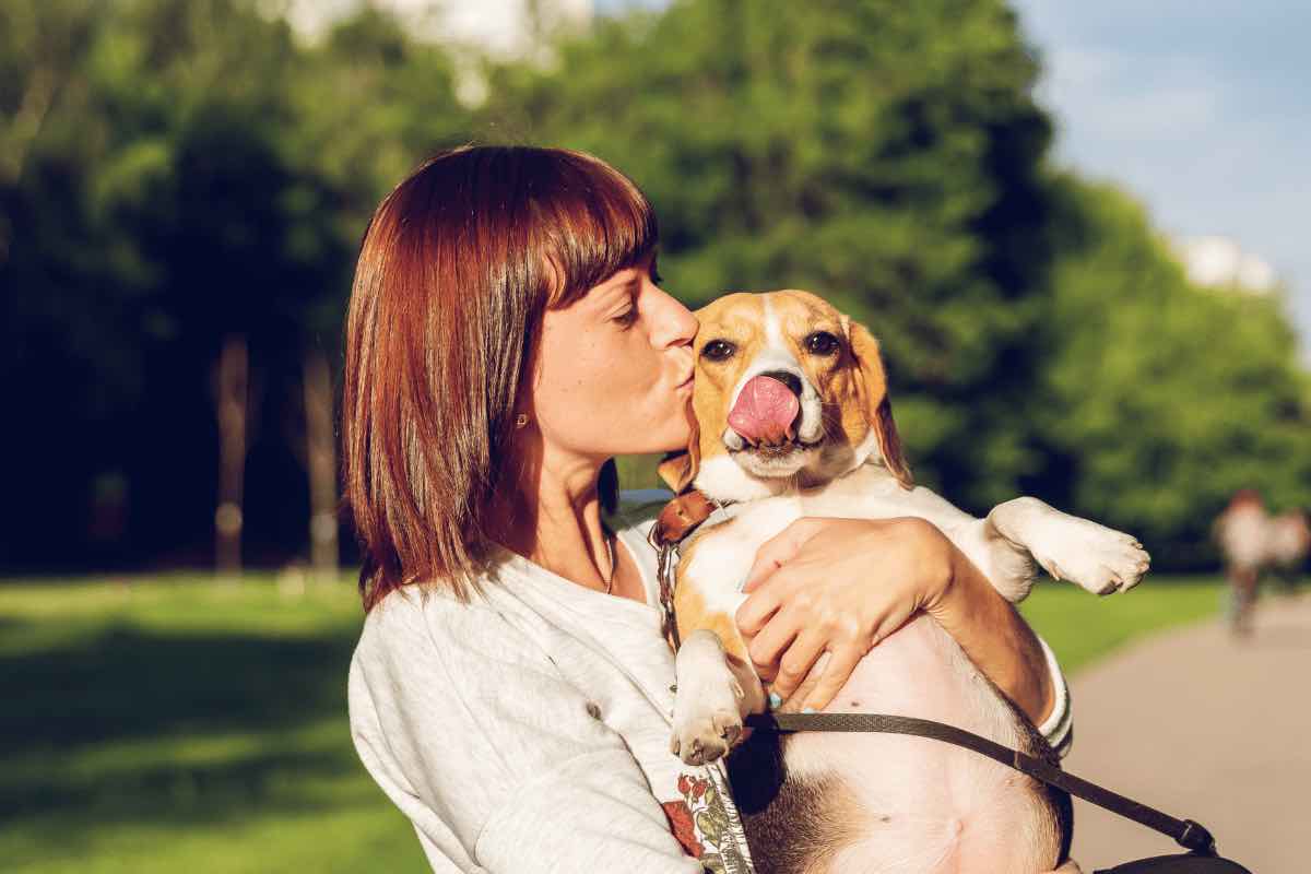 Se hai un cane devi fare attenzione a non commettere questo errore d'estate