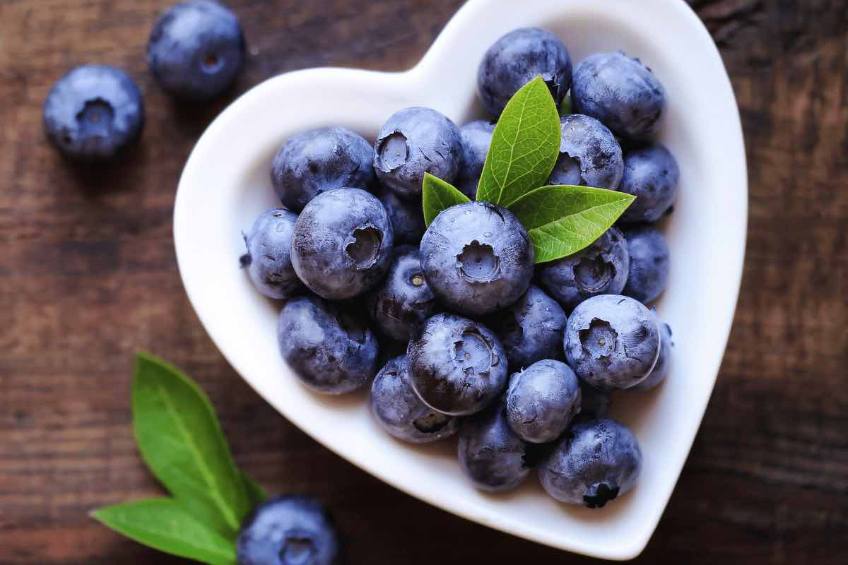 The Health Benefits and Properties of Blueberries: Why You Should Eat More