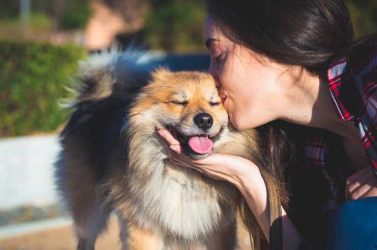 Cane, non baciate in bocca il vostro amico a quattro zampe: spiacevoli conseguenze