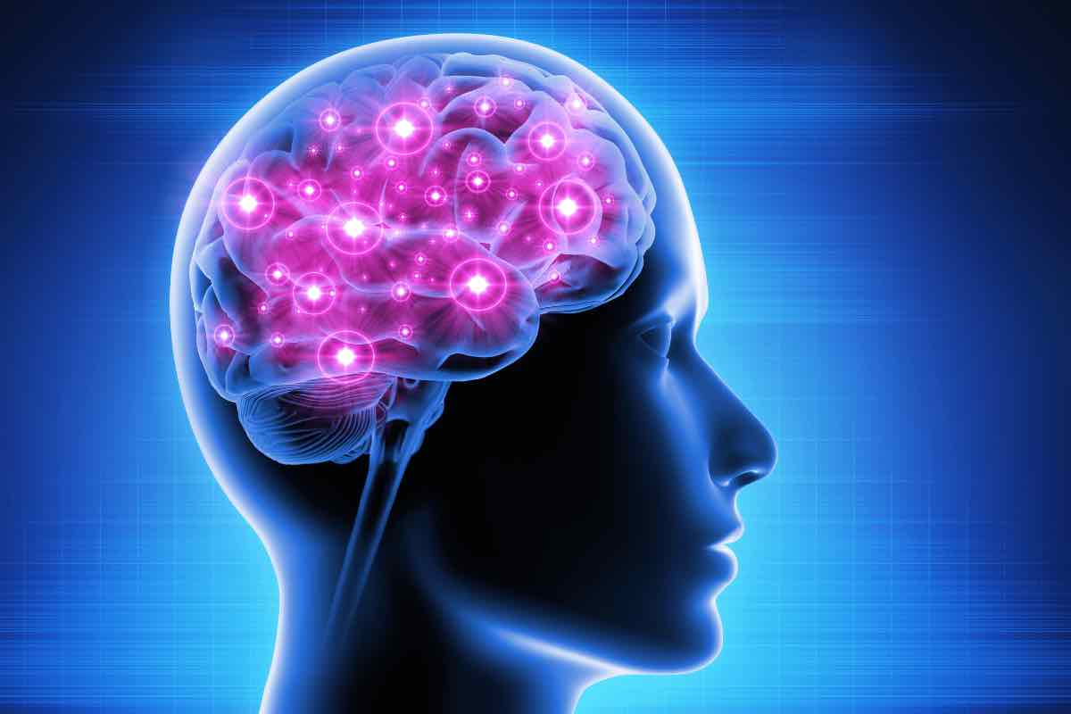 Mantenere il cervello sempre attivo è importante: ecco alcuni consigli utili