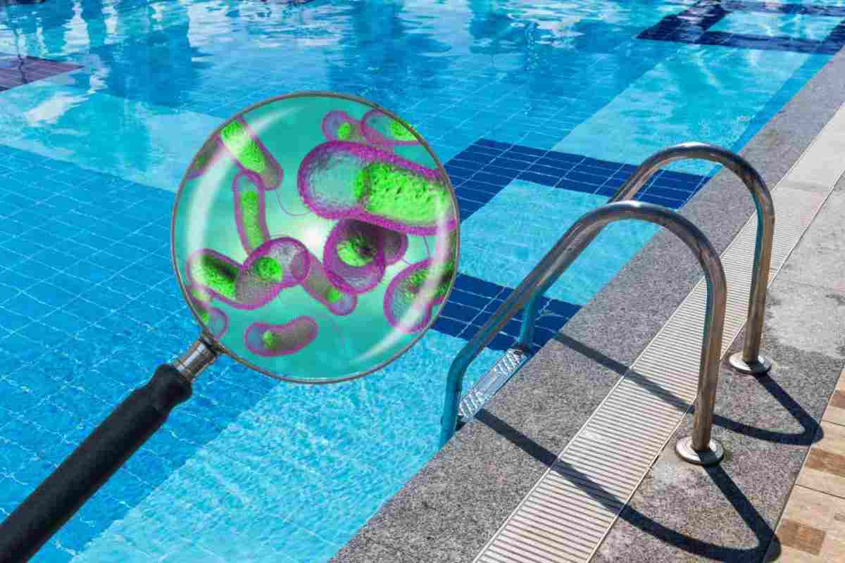 quali sono i parassiti in piscina resistenti al cloro