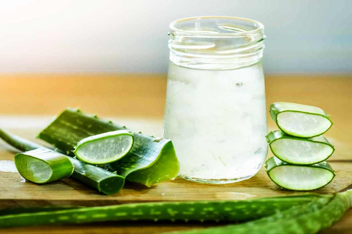 come estrarre gel aloe vera