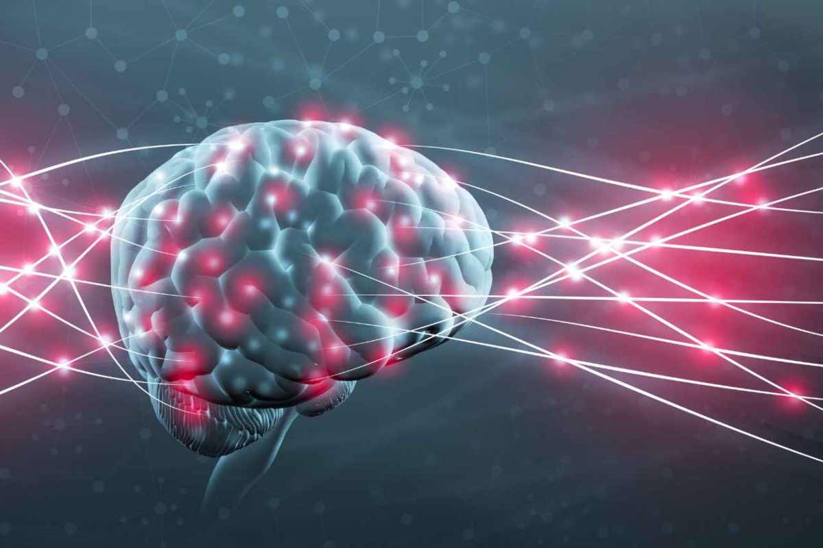 in fase di premorte il cervello è molto attivo