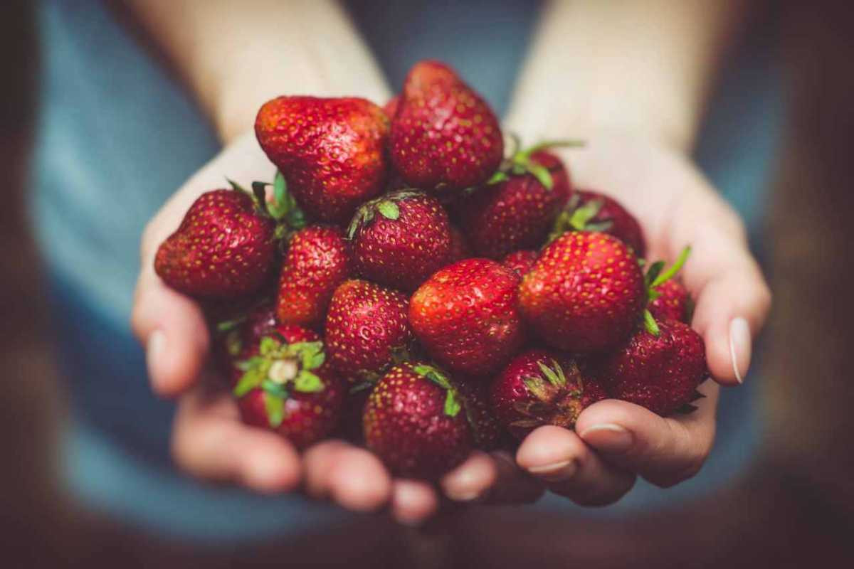 benefici delle fragole sulla salute