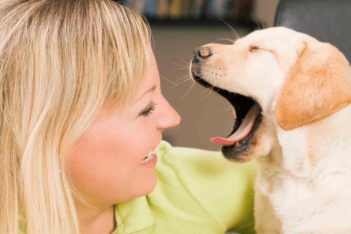 Perché i cani sbadigliano?