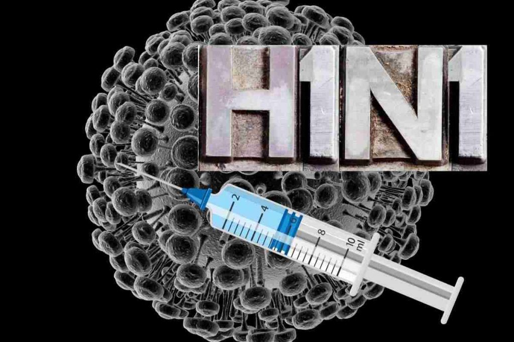 cos'è l'h1n1 influenza suina