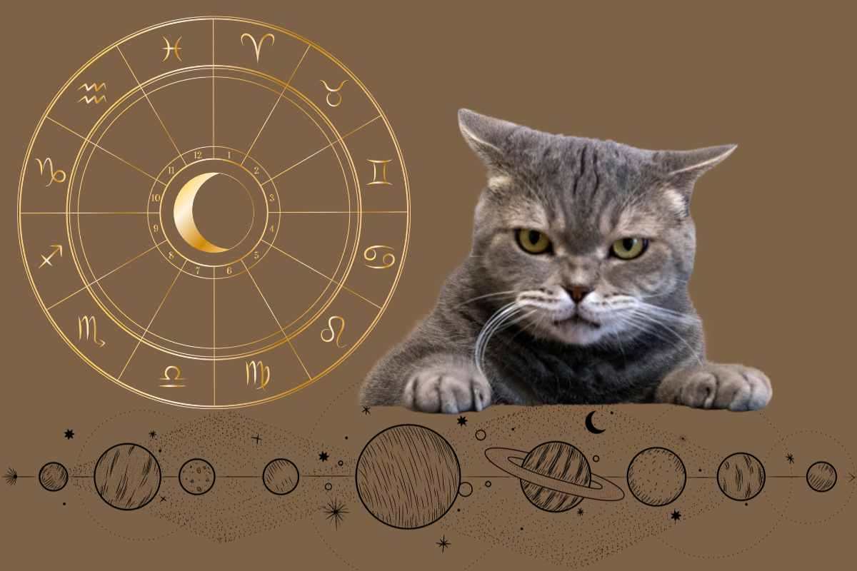 quali sono i segni zodiacali scontrosi