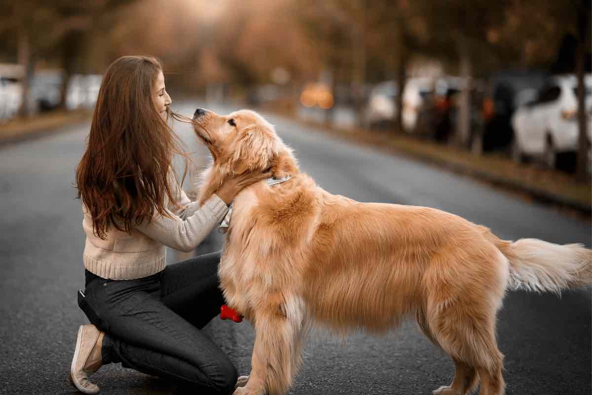 Cani, perché scodinzolano: il punto su questo studio