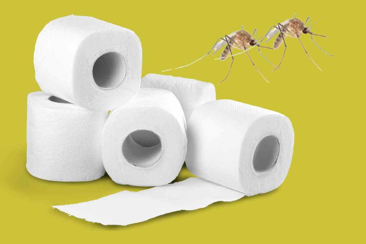 Allontanare le zanzare con la carta igienica