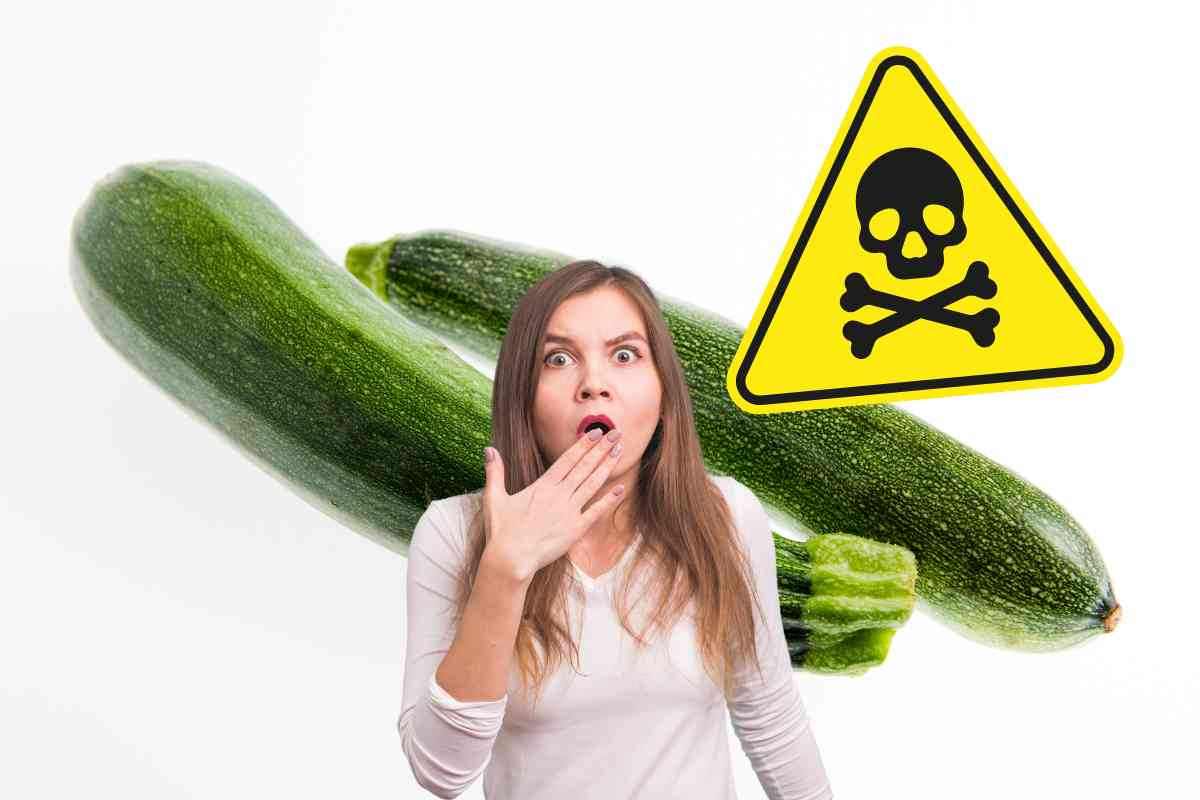 Zucchine verdi contaminate e pericolose per la salute: ritirati diversi lotti da un noto supermercato